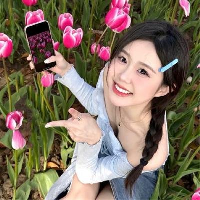艳谍飞龙